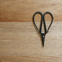 TAjiKA iron, Flower shears